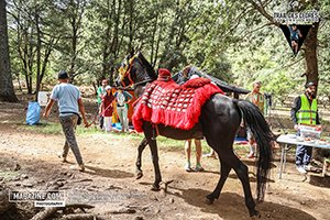 Trail des cèdres 2024